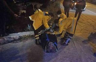Arabaya çarpıp uçurumdan yuvarladı