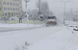 Araçlar yollarda kaydı, Düzce beyaz örtü ile...