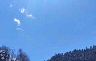 Artvin’de çığ köy yolunu ulaşıma kapattı