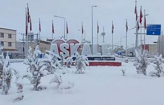 Aşkale’de kartpostallık kar görüntüleri