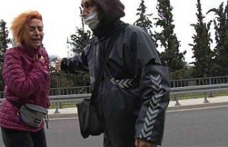Ataşehir’de otomobiliyle kediye çarpan sürücü...