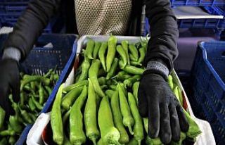 ATB’den şubat ayı sebze ve meyve endeksi açıklaması