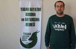 Av yasağı başladı