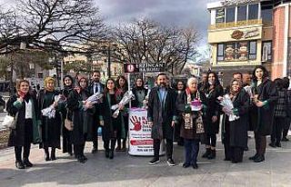 Avukatlar, Kadınlar Gününde kitap ve karanfil dağıttı