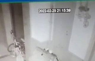 Ayakkabı hırsızları kameralara yakalandı