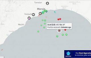 Ayçiçeği yüklü ilk gemi Mersin’e ulaştı