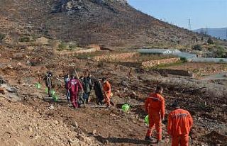 Aydıncık’ta yanan alanlara 70 bin keçiboynuzu...