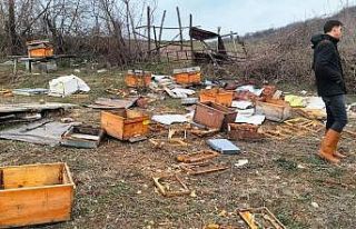 Baba yadigarı idi, gördükleri manzara ile şoke...