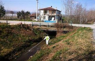 Bafra Belediyesi’nden sivrisineklere karşı larva...