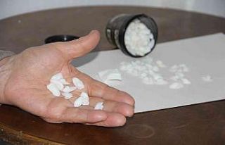 Balık taşı böbrek hastalarının ilgi odağı