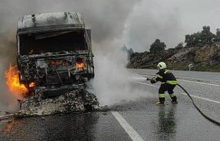Balık yemi yüklü kamyon tamamen yandı