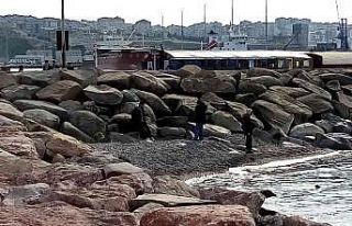 Bandırma’ da 2 ay önce çekilen deniz yerine gelmedi