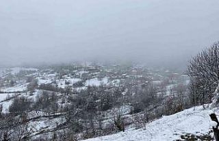 Bartın’ın yüksek kesimlerinde kar yağışı...