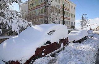 Başkale’de 94 yerleşim yerinin yolu kapandı,...