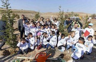 Başkan Büyükkılıç: “3 yılda 300 bin fidan...