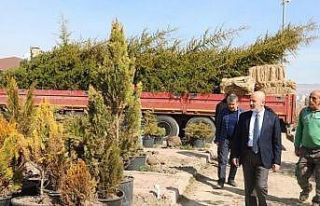 Başkan Çolakbayrakdar: "Yeşillendirme çalışmalarıyla...