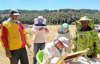 Başkan Ergün’den tarıma 17 milyon liralık destek...