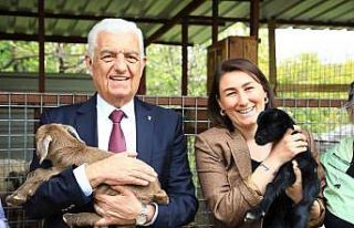 Başkan Gürün keçi yetiştiricisi kadınları ziyaret...