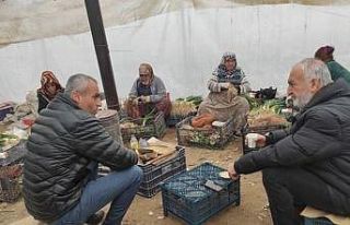 Başkan Kepez, serada üreticileri ziyaret etti