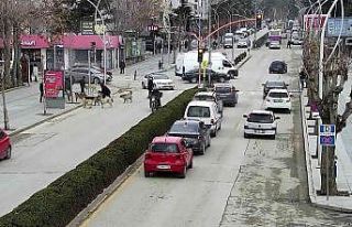 Başkan yardımcısı saldırıya uğrayan köpeği...