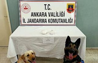 Başkent’teki uyuşturucu operasyonlarında 9 gözaltı