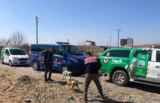 Batman’da ’yasaklı ırk’ sahiplerine 197 bin...