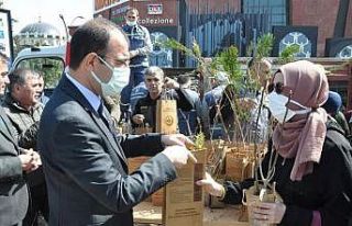 Biga’da ücretsiz fidan dağıtıldı