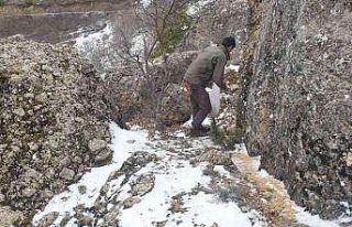 Bingöl’de ekipler 2 ayda doğaya 25 ton yem bıraktı