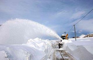 Bitlis’te 168 köy yolu ulaşıma kapandı