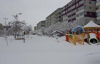 Bitlis’te 207 köy yolu ulaşıma kapandı