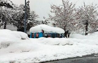 Bitlis’te 248 köy yolu ulaşıma kapandı