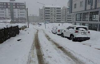 Bitlis’te 58 köy yolu ulaşıma kapandı