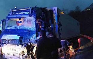 Bitlis’te iki tır kafa kafaya çarpıştı: 1 yaralı
