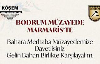 Bodrum Müzayede, “Bahara Merhaba” demeye hazırlanıyor