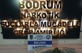 Bodrum polisi uyuşturucuya geçit vermedi
