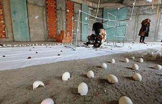 Böyle gösteri görülmedi