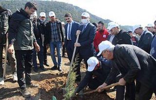 Bozyazı’da fidan dikim etkinliği