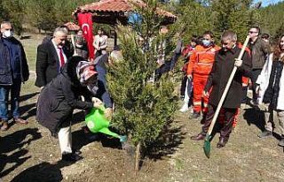 Bu fidanlar şehitlerin adıyla büyüyecek