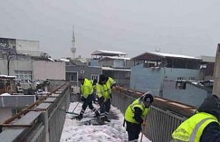 Bursa’da kar yayalara da engel değil