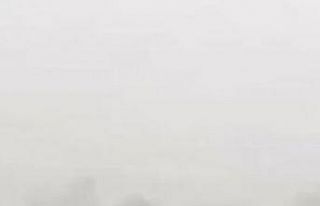 Bursa’da soğuktan donmak üzere olan leylekler...