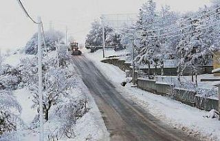 Büyükşehir 111 ihbara müdahale etti