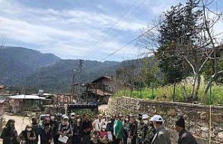 Büyükşehir Akseki’de defne fidanı dağıtıp...