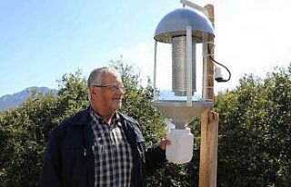 Büyükşehir domates güvesine ‘ışık tuzak’...