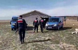 Çaldıkları koyunların parasını ödeyince serbest...