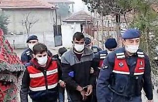 Çaldıkları tavus kuşunu yeme konusunda anlaşamayan...