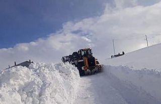 Çaldıran Belediyesinden karla mücadele çalışması