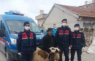 Çalınan koyunlarını bulan jandarmaya teşekkür...