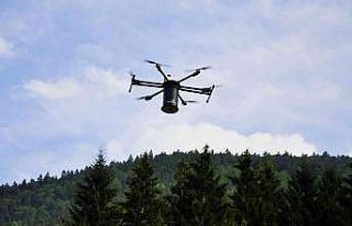 Çalışan kadınlar adına 30 bin tohum topu atılacak