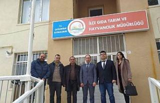 Çavdarhisar’da arazi toplulaştırma işlemleri