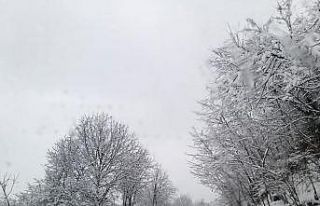 Çaybaşı yolu kara teslim